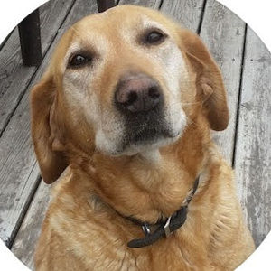 Meet your Posher, Annemarie